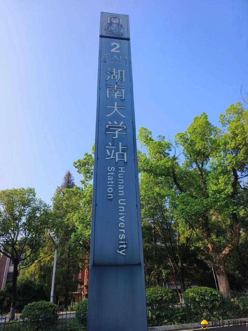 下一站我的大学，解锁心情提升秘籍，让你的大学生活更加多彩